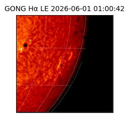 gong - 2026-06-01T01:00:42