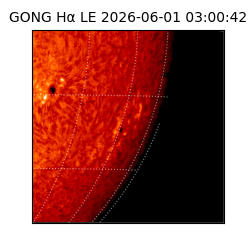 gong - 2026-06-01T03:00:42