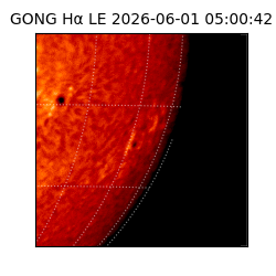 gong - 2026-06-01T05:00:42
