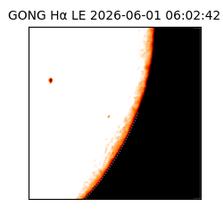 gong - 2026-06-01T06:02:42