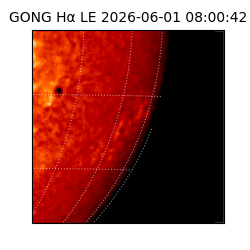 gong - 2026-06-01T08:00:42