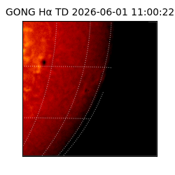 gong - 2026-06-01T11:00:22