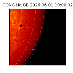 gong - 2026-06-01T19:00:02