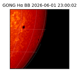 gong - 2026-06-01T23:00:02
