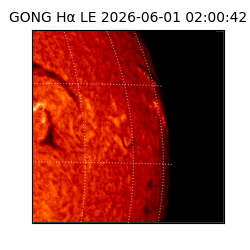 gong - 2026-06-01T02:00:42