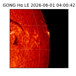 gong - 2026-06-01T04:00:42