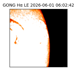gong - 2026-06-01T06:02:42