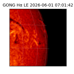 gong - 2026-06-01T07:01:42