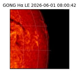 gong - 2026-06-01T08:00:42