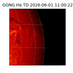 gong - 2026-06-01T11:00:22