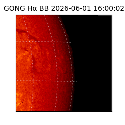 gong - 2026-06-01T16:00:02