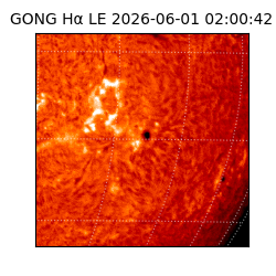 gong - 2026-06-01T02:00:42