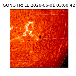 gong - 2026-06-01T03:00:42