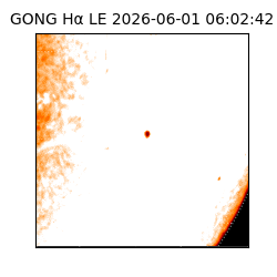 gong - 2026-06-01T06:02:42