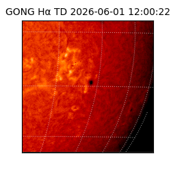 gong - 2026-06-01T12:00:22