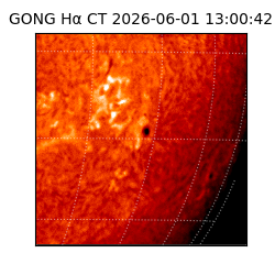 gong - 2026-06-01T13:00:42