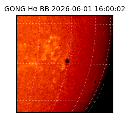 gong - 2026-06-01T16:00:02