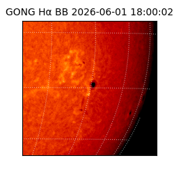 gong - 2026-06-01T18:00:02