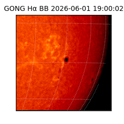 gong - 2026-06-01T19:00:02