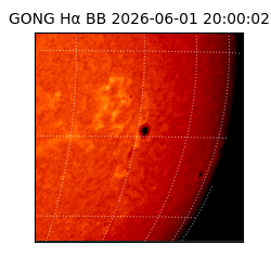 gong - 2026-06-01T20:00:02