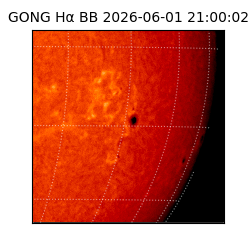 gong - 2026-06-01T21:00:02