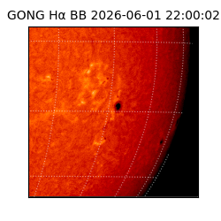 gong - 2026-06-01T22:00:02