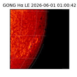 gong - 2026-06-01T01:00:42