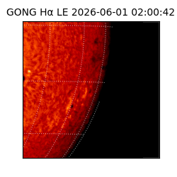 gong - 2026-06-01T02:00:42