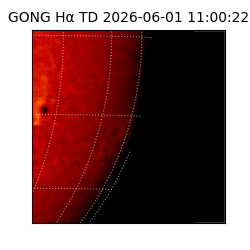 gong - 2026-06-01T11:00:22