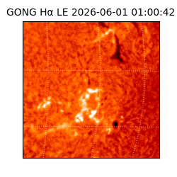 gong - 2026-06-01T01:00:42