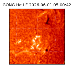gong - 2026-06-01T05:00:42