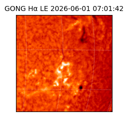 gong - 2026-06-01T07:01:42