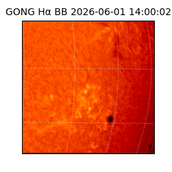 gong - 2026-06-01T14:00:02
