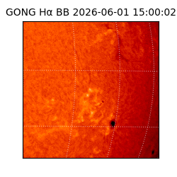 gong - 2026-06-01T15:00:02