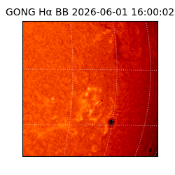 gong - 2026-06-01T16:00:02