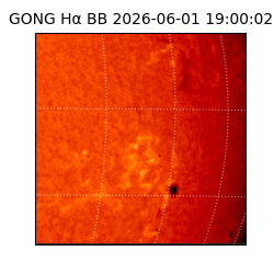 gong - 2026-06-01T19:00:02