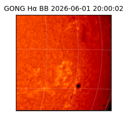 gong - 2026-06-01T20:00:02