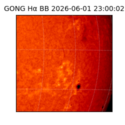 gong - 2026-06-01T23:00:02