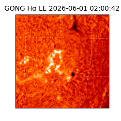 gong - 2026-06-01T02:00:42