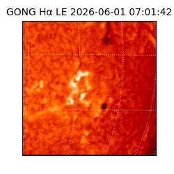 gong - 2026-06-01T07:01:42