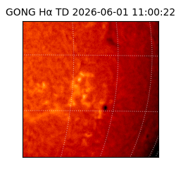 gong - 2026-06-01T11:00:22