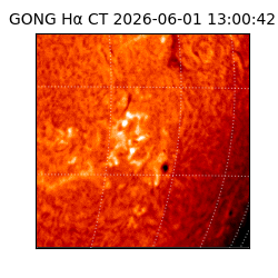 gong - 2026-06-01T13:00:42