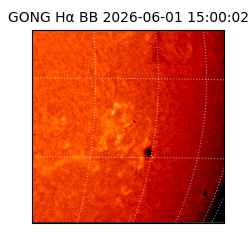 gong - 2026-06-01T15:00:02