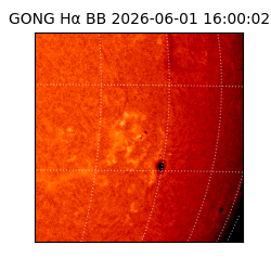 gong - 2026-06-01T16:00:02