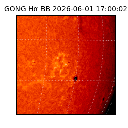 gong - 2026-06-01T17:00:02
