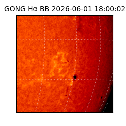 gong - 2026-06-01T18:00:02