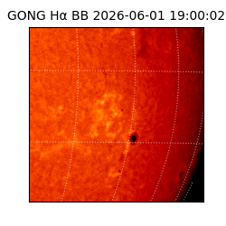 gong - 2026-06-01T19:00:02