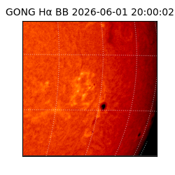 gong - 2026-06-01T20:00:02