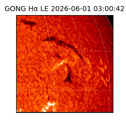 gong - 2026-06-01T03:00:42
