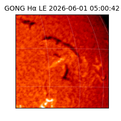 gong - 2026-06-01T05:00:42